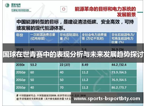 国球在世青赛中的表现分析与未来发展趋势探讨