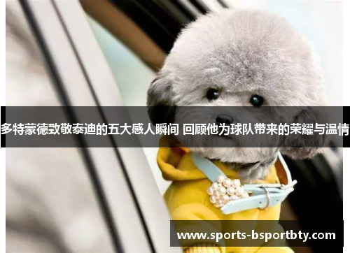多特蒙德致敬泰迪的五大感人瞬间 回顾他为球队带来的荣耀与温情
